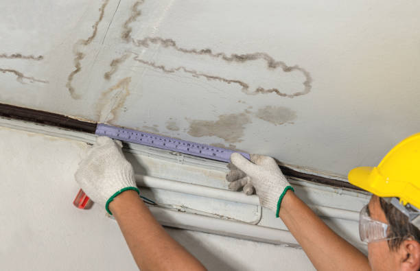 Reliable Mold Remediation contractor in Cherry Valley, IL by Water Damage Irwin